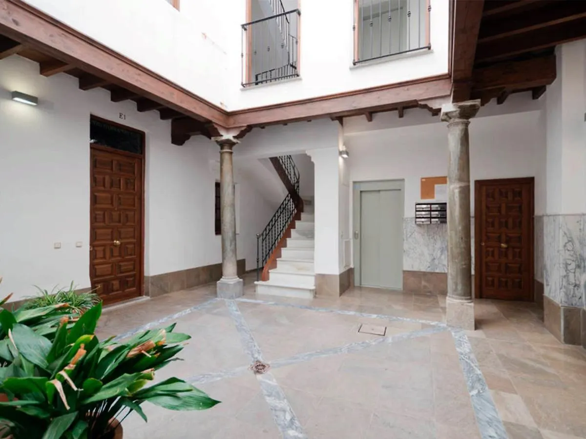 Loft Wifi Centro Espectacular Terraza Con Todos Los Servicios Granada Spain