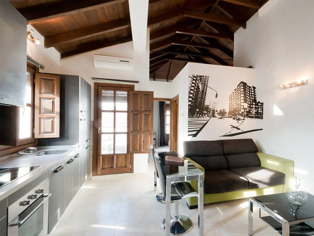 Apartment Loft Wifi Centro Espectacular Terraza Con Todos Los Servicios Granada