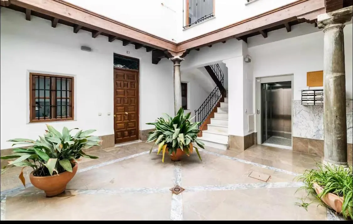 Loft Wifi Centro Espectacular Terraza Con Todos Los Servicios غرناطة 0*,  إسبانيا